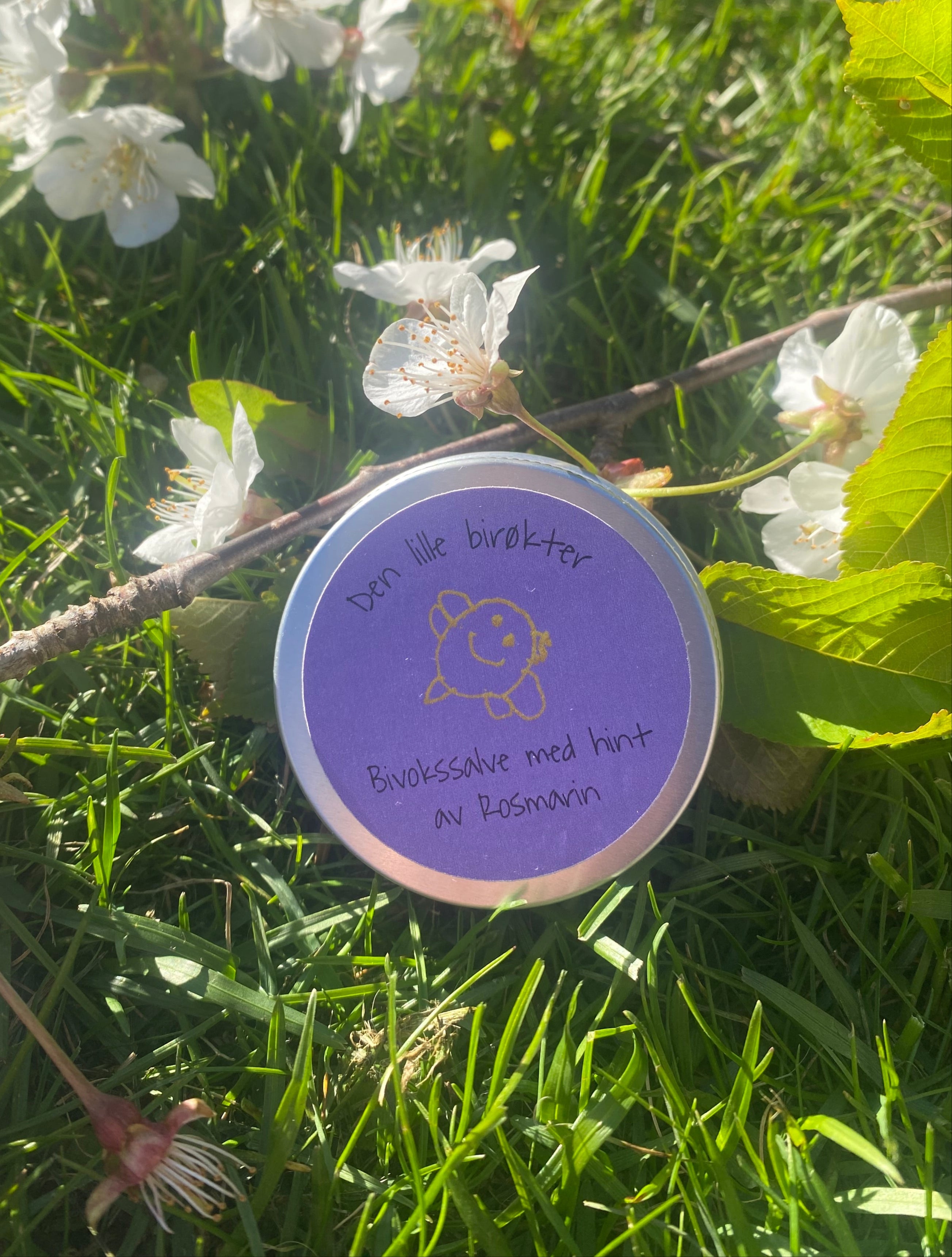 Boks med salve ligger i gress på en kvist med epleblomster