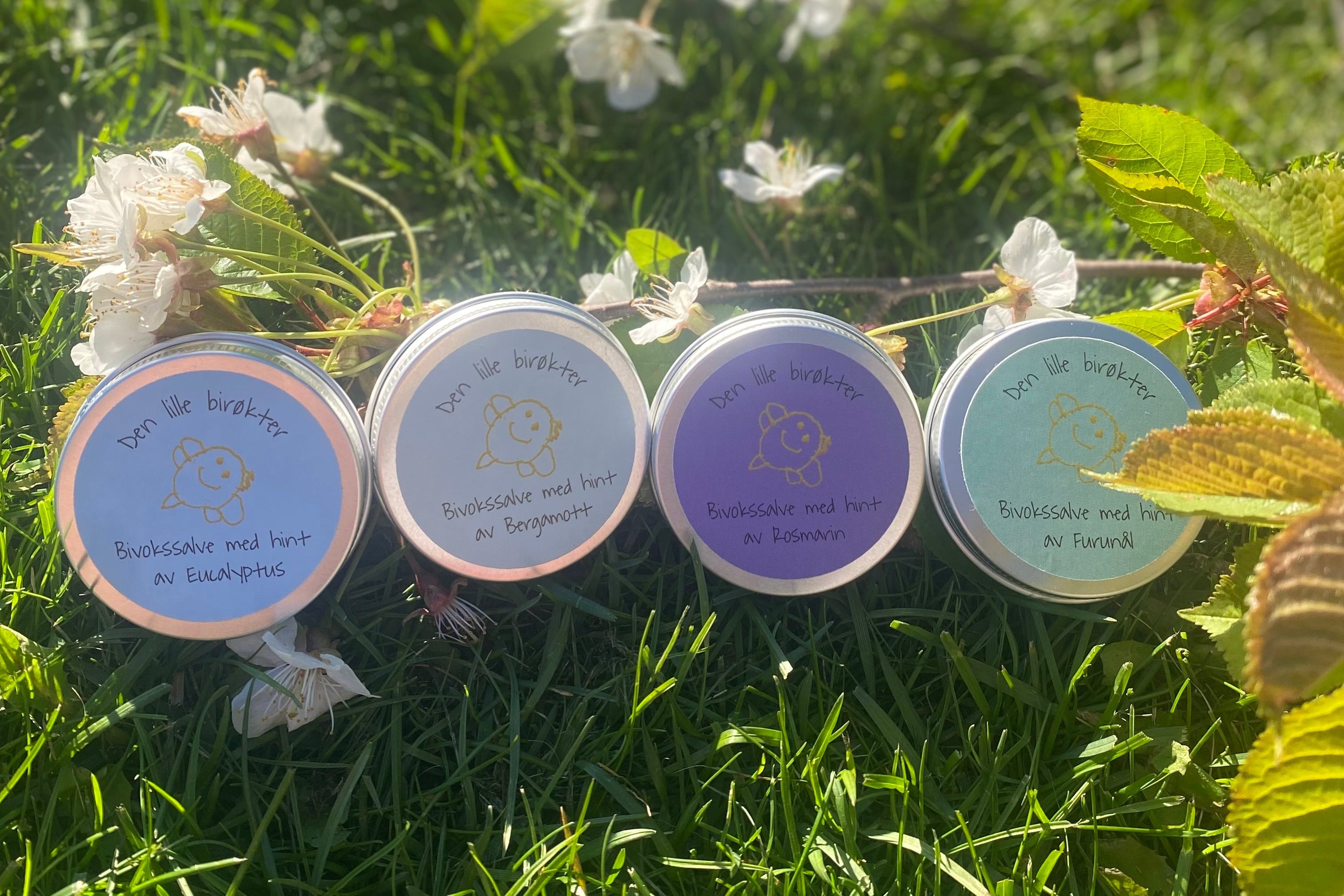 Fire salver ligger i gress sammen med en epleblomstkvist