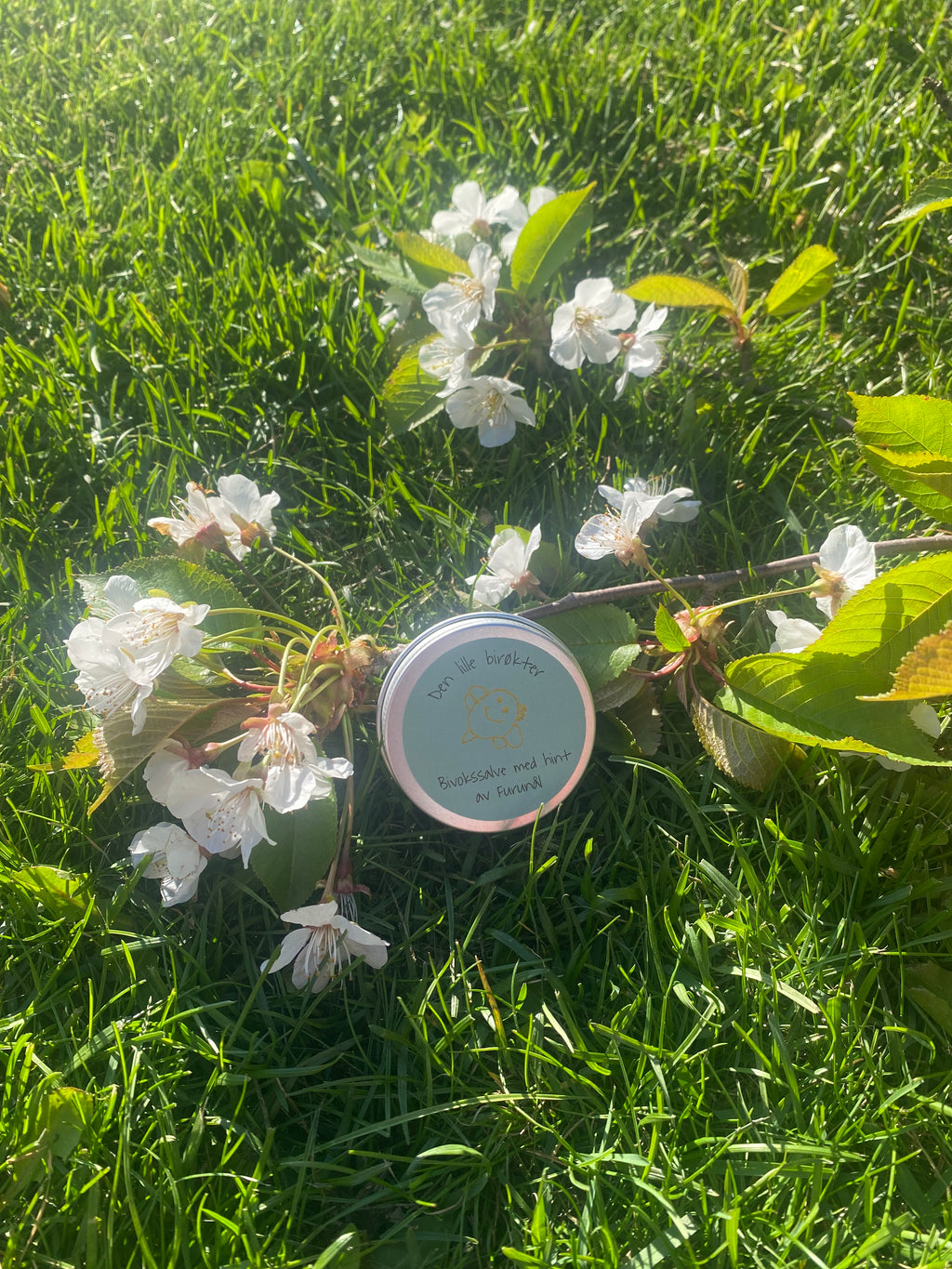 Bivokssalve Furunål